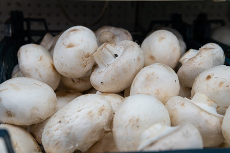 Champignon mushrooms are sold in a supermarket.の写真素材