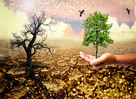 The picture shows the effect of drought, cracked soil, no seasonal rain. Because caused by global warming. global warming conceptの写真素材