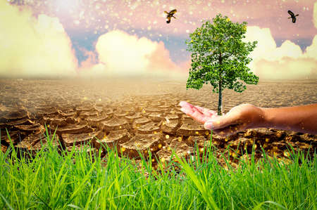 The picture shows the effect of drought, cracked soil, no seasonal rain. Because caused by global warming. global warming conceptの写真素材