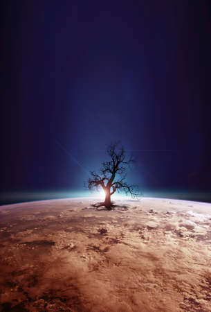 Panoramic view of the Earth dead trees, sun, star and galaxy. Sunrise over planet Earth, view from...