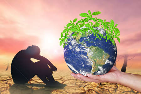 The world in the hands of a small tree growing nature conservation concept change to add green spaces to the world , global warming, pollution concepts.の写真素材