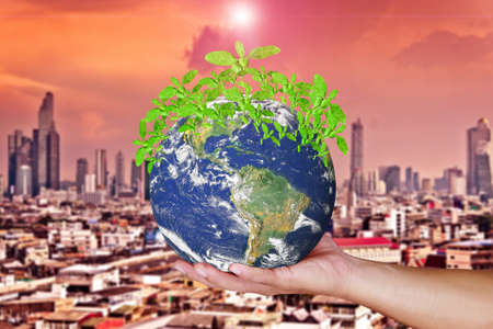 The world in the hands of a small tree growing nature conservation concept change to add green spaces to the world , global warming, pollution concepts. element of the picture is decorated by NASAの写真素材