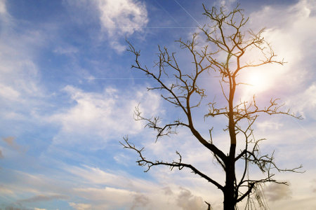 A man raising his hands happily exercising on a bicycle in the evening.の写真素材