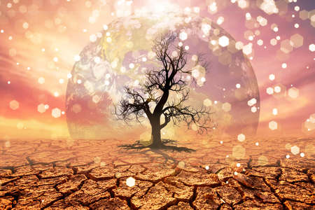 change concept. The drought areas and the shattered land have the characters Change.