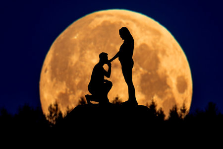 Silhouette of a loving couple in front of a full moonの写真素材