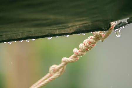 Rain drops on camping canvas in natureの写真素材
