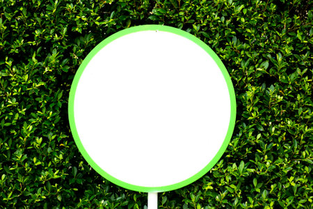 Blank circle label for putting content on a beautiful tree background for copy space in the project.の写真素材
