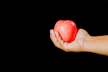 red apple in hand on black backgroundの写真素材