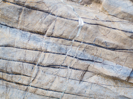 Abstract background with pattern of stones in nature
