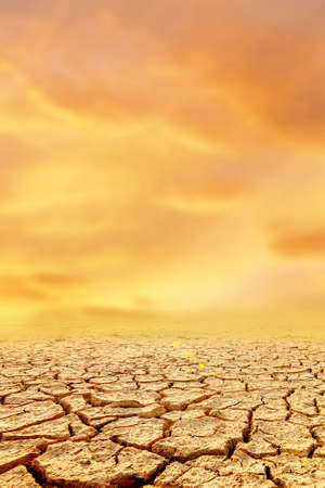 Dry land with cracked ground. Global warming concept. 3d renderingの写真素材