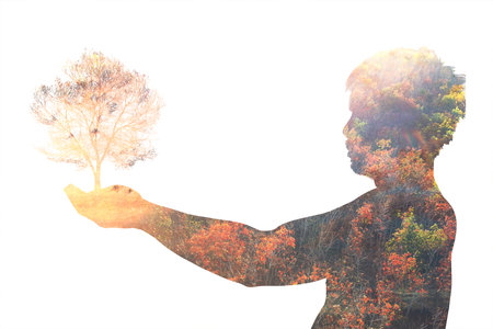 The idea of ââplanting trees to change the environment. Shadows of people with nature embracing trees. on a white background with clipping pathの写真素材