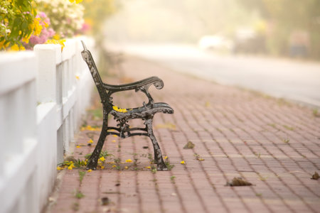 An empty chair in the park. loneliness and loneliness conceptの写真素材