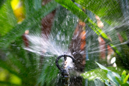 Water dispersed from sprinklers for watering plants in agricultural fields.の写真素材