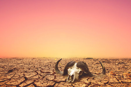 The concept of drought, global warming and the environment.の写真素材