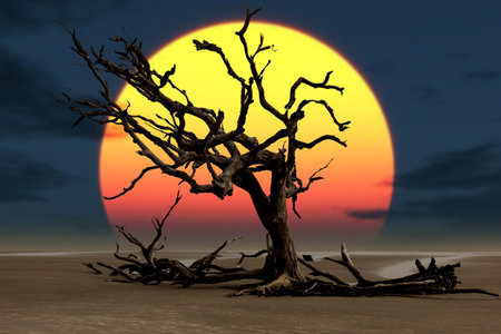 Trees die in drought-stricken areas. because of global warmingの写真素材