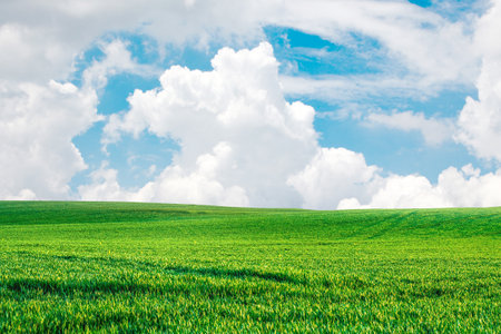 A large meadow in the background is the sky. background image conceptの写真素材
