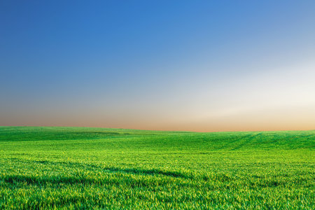 A large meadow in the background is the sky. background image conceptの写真素材