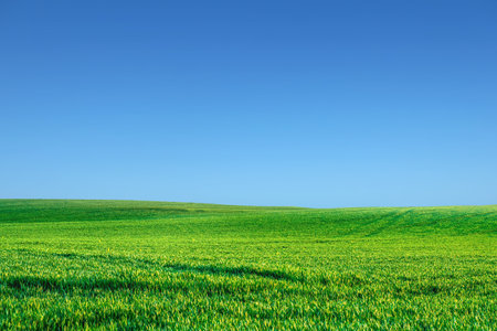 A large meadow in the background is the sky. background image conceptの写真素材