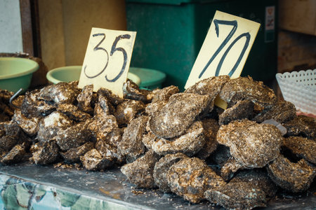Unshelled oysters in the fresh market of Thailand. concept of food ingredientsの写真素材