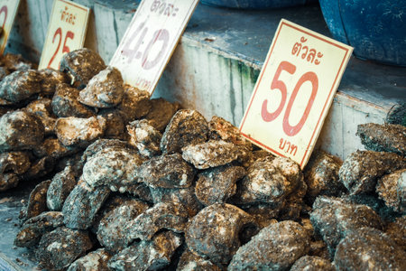 Unshelled oysters in the fresh market of Thailand. concept of food ingredientsの写真素材