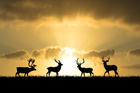 Silhouettes deer in a beautiful light meadow. wildlife concept in natureの写真素材