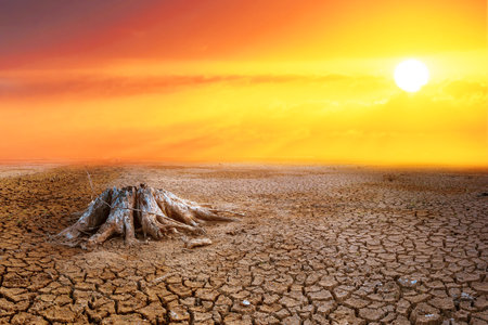effect of global warming The land is broken and dry, the rain does not fall in season. concept of global warming and environmental changeの写真素材