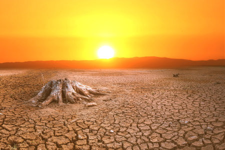 The concept of global warming and drought and poverty and food shortages. Arid soils with hot climates have a globe that lacks green space.の写真素材
