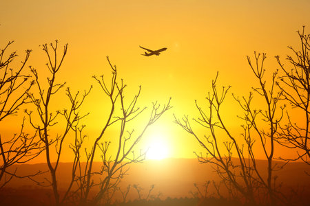 Silhouette of tree and flying bird on sunset sky background.