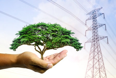 Human hand holding a tree in front of a high voltage pylon