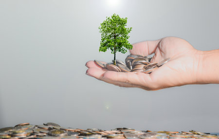 Investing to green business, Money tree growing from pile of coinsの写真素材