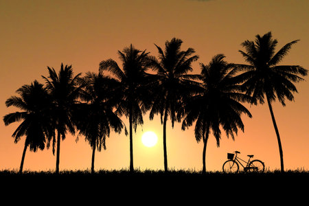 A serene scene featuring the silhouette of palm trees and a bicycle at sunset, evoking a tranquil tropical paradise.の写真素材