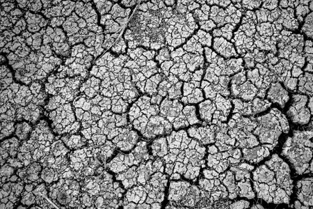 High-resolution black and white image of cracked dry earth, emphasizing drought conditions and environmental concerns.の写真素材