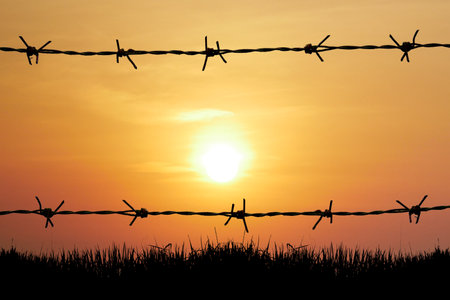 Beautiful sunset with a barbed wire fence and silhouetted grass, creating a striking contrast between nature and man-made elements.の写真素材