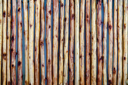 Close-up of a rustic wooden fence made from vertical logs, showcasing a natural and organic pattern in an outdoor setting.の写真素材