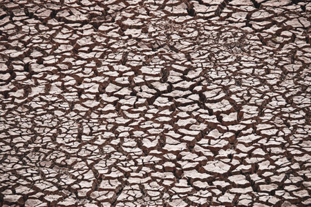 High-resolution image of cracked dry earth, illustrating drought and climate change effects on soil.