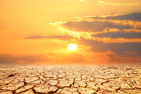 Dry land. Climate change, global warming. Global warming conceptの写真素材