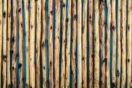 Close-up of a rustic wooden fence made from vertical logs, showcasing natural textures and earthy tones.の写真素材