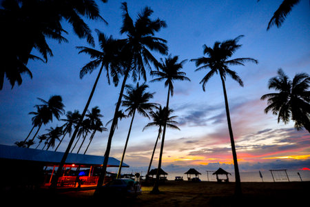 Silhouetted palm trees against a colorful sunset sky on a tranquil tropical beach, creating a serene and picturesque scene.の写真素材