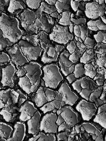Black and white image of cracked earth, showcasing drought and environmental challenges.