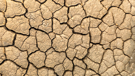 Close-up of cracked, dry earth highlighting the impact of drought and climate change on arid...