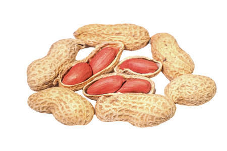 High-resolution image of whole and shelled peanuts, perfect for illustrating food, nutrition, and healthy eating themes.の写真素材