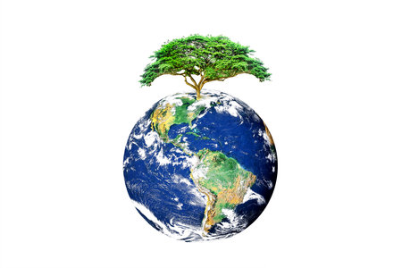 A globe with a tree on top, representing environmental conservation and global sustainability.の写真素材