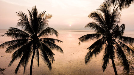 Beautiful sunset with palm trees silhouetted against a tranquil ocean, capturing the essence of a tropical paradise.の写真素材