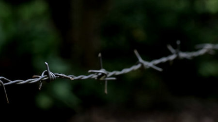 Detailed image of barbed wire with a blurred dark green background, highlighting texture and contrast in an outdoor environment.の写真素材