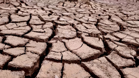 Close-up of cracked, dry earth in a desert, illustrating drought and environmental impact.の写真素材