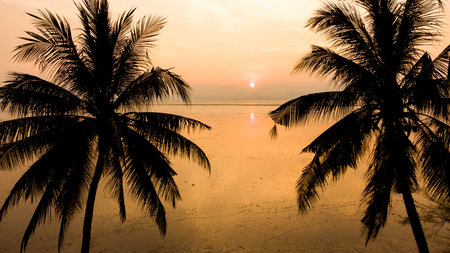 Silhouette coconut palm tree on the beach at sunset time - Vintage Filterの写真素材
