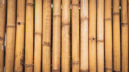 Detailed view of a bamboo fence showcasing natural texture and color, perfect for eco-friendly design concepts.の写真素材