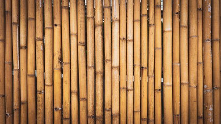 Detailed view of bamboo stalks aligned vertically, showcasing natural texture and warm colors.の写真素材