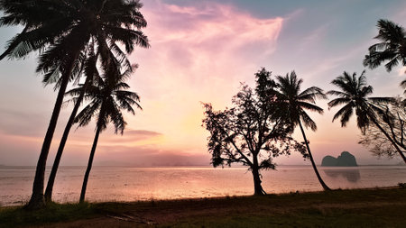 Captivating sunset with palm tree silhouettes against a colorful sky, reflecting over tranquil ocean waters.の写真素材