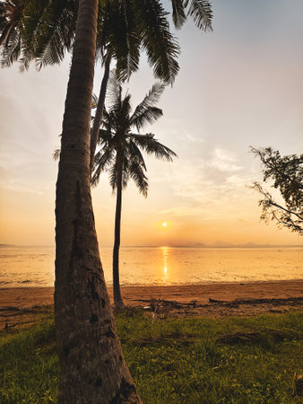 Peaceful sunrise over a tropical beach, featuring palm trees and golden reflections on the ocean.